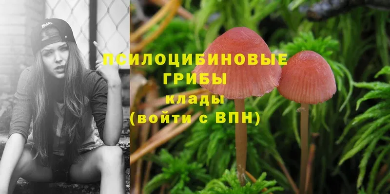 Псилоцибиновые грибы Magic Shrooms  Бородино 